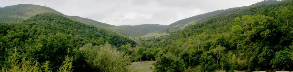 Hotel Casa Mas Gran Santa Cristina d'Aro Εξωτερικό φωτογραφία