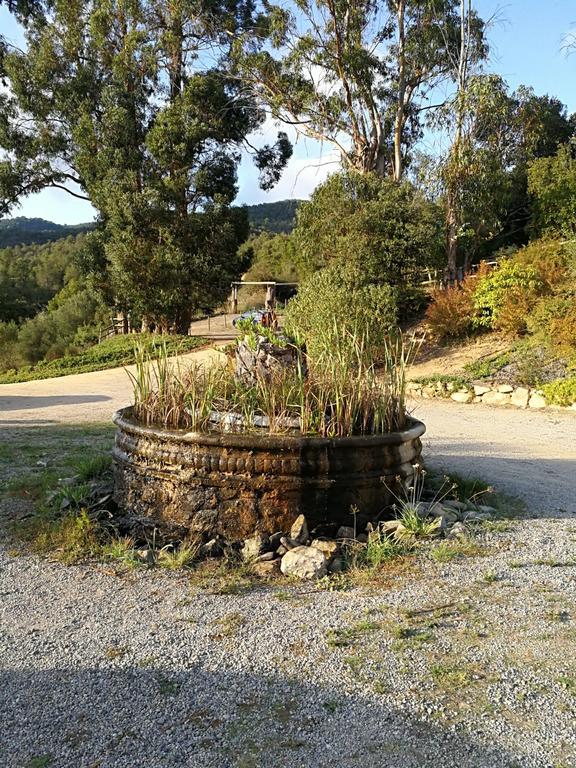 Hotel Casa Mas Gran Santa Cristina d'Aro Εξωτερικό φωτογραφία